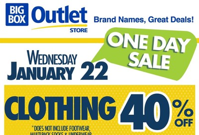 Big Box Outlet Store Flyer January 22 to 28