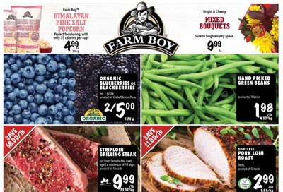 Farm Boy Flyer January 23 to 29