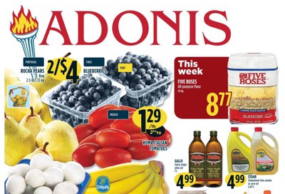 Adonis (ON) Flyer January 23 to 29
