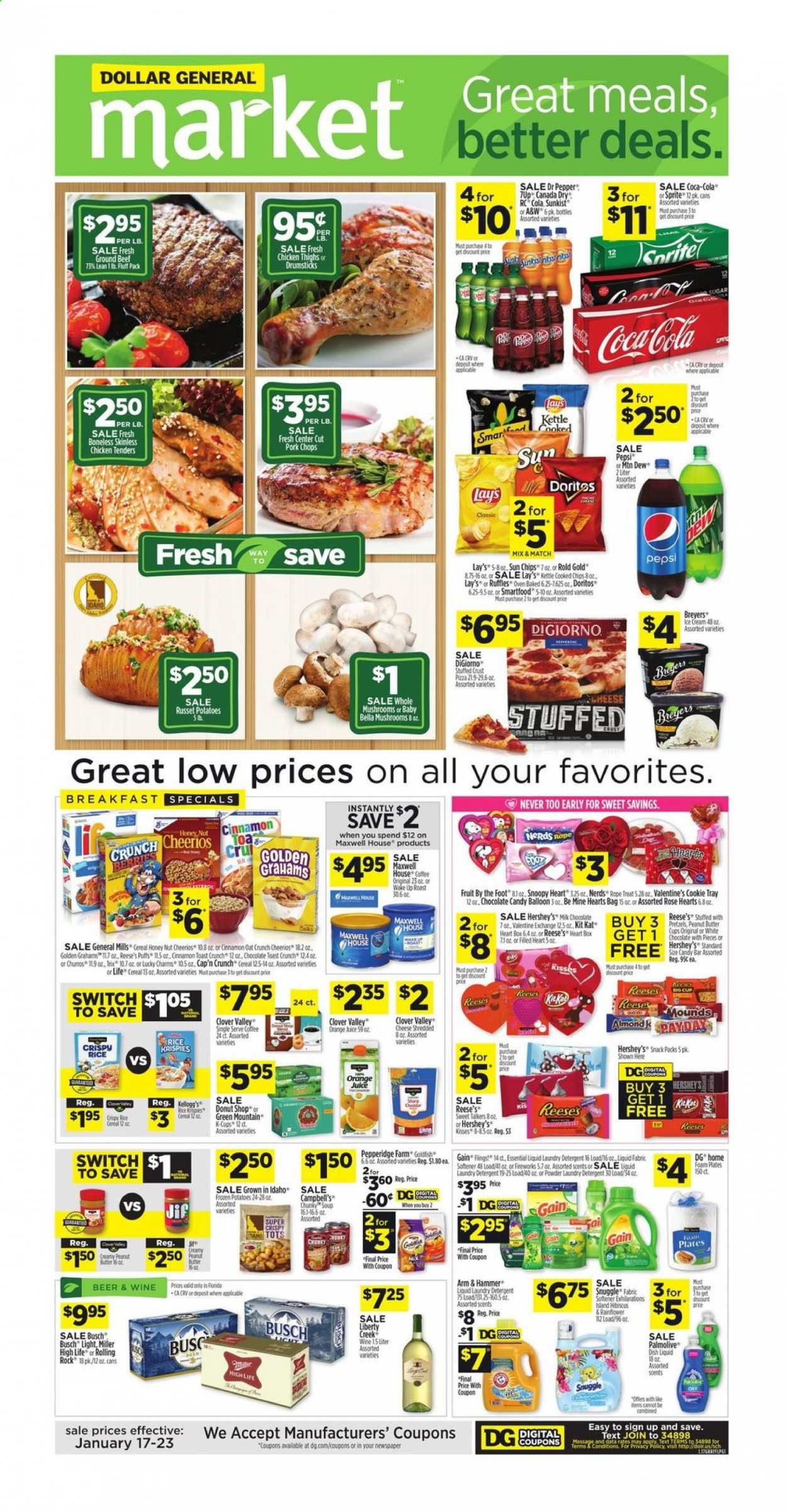 Dollar General (FL) Weekly Ad Flyer January 17 to January 23