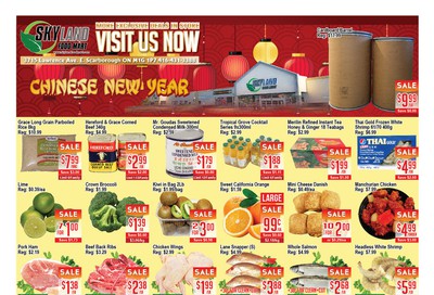 Skyland Food Mart Flyer January 24 to 30