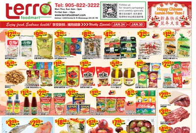 Terra Foodmart Flyer January 24 to 30
