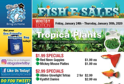 Big Al's (Whitby) Weekly Specials January 24 to 30