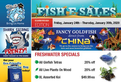 Big Al's (Scarborough) Weekly Specials January 24 to 30