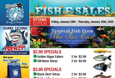 Big Al's (Ottawa East) Weekly Specials January 24 to 30