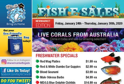 Big Al's (Newmarket) Weekly Specials January 24 to 30