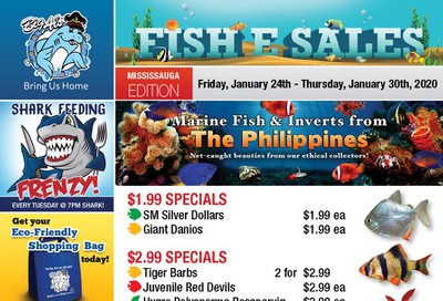 Big Al's (Mississauga) Weekly Specials January 24 to 30