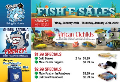 Big Al's (Hamilton) Weekly Specials January 24 to 30