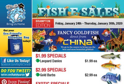 Big Al's (Brampton) Weekly Specials January 24 to 30
