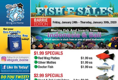 Big Al's (Barrie) Weekly Specials January 24 to 30