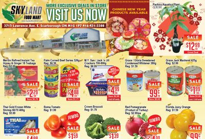 Skyland Food Mart Flyer January 22 to 28