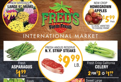 Fred's Farm Fresh Flyer October 2 to 8