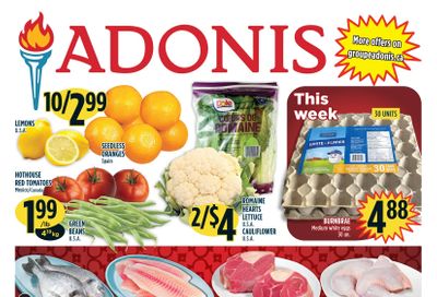 Adonis (ON) Flyer January 28 to February 3