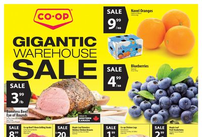 Co-op (West) Food Store Flyer January 28 to February 3