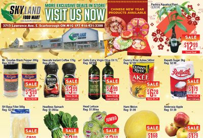 Skyland Food Mart Flyer January 29 to February 4