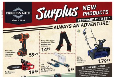 Princess Auto Surplus New Products Flyer February 1 to 28