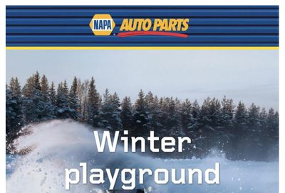 NAPA Auto Parts Flyer February 1 to 28