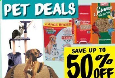 Ollie's Bargain Outlet Weekly Ad Flyer February 1 to February 28