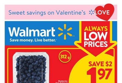 Walmart (ON) Flyer February 11 to 17