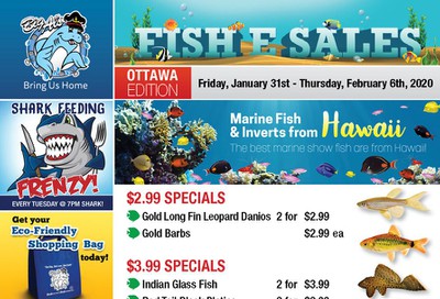 Big Al's (Ottawa East) Weekly Specials January 31 to February 6