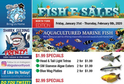 Big Al's (North York) Weekly Specials January 31 to February 6