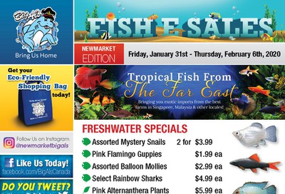 Big Al's (Newmarket) Weekly Specials January 31 to February 6