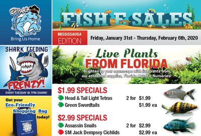 Big Al's (Mississauga) Weekly Specials January 31 to February 6