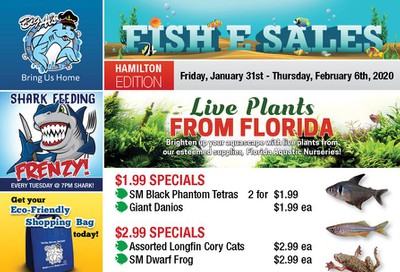 Big Al's (Hamilton) Weekly Specials January 31 to February 6