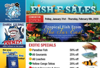 Big Al's (Edmonton) Weekly Specials January 31 to February 6