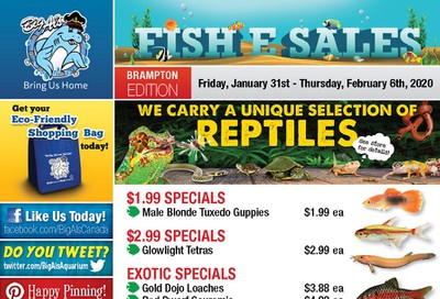 Big Al's (Brampton) Weekly Specials January 31 to February 6