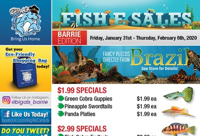 Big Al's (Barrie) Weekly Specials January 31 to February 6