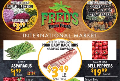 Fred's Farm Fresh Flyer October 9 to 15