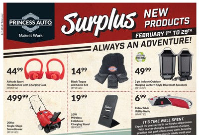 Princess Auto New Surplus Items Flyer February 1 to 29