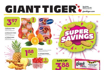Giant Tiger (ON) Flyer February 17 to 23