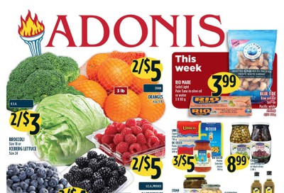 Adonis (ON) Flyer February 6 to 12