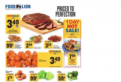Food Lion (DE) Weekly Ad Flyer February 17 to February 23