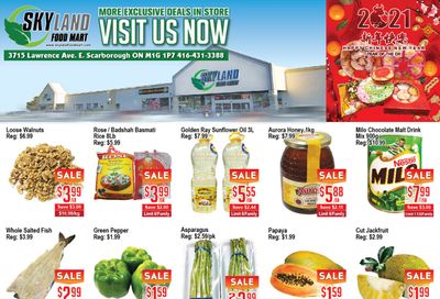 Skyland Food Mart Flyer February 19 to 25