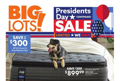 Big Lots Weekly Ad Flyer February 21 to February 27