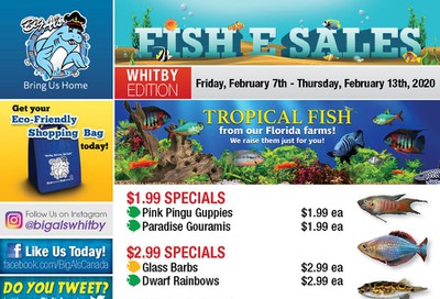 Big Al's (Whitby) Weekly Specials February 7 to 13