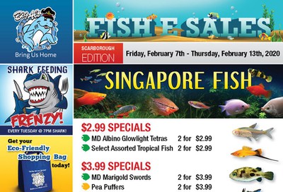 Big Al's (Scarborough) Weekly Specials February 7 to 13