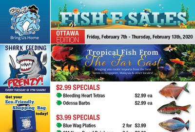 Big Al's (Ottawa East) Weekly Specials February 7 to 13