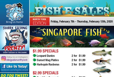 Big Al's (North York) Weekly Specials February 7 to 13