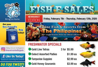 Big Al's (Newmarket) Weekly Specials February 7 to 13