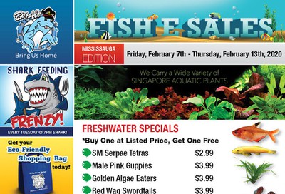 Big Al's (Mississauga) Weekly Specials February 7 to 13