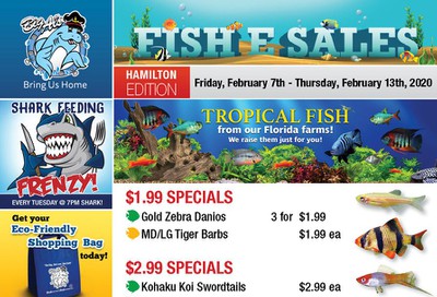 Big Al's (Hamilton) Weekly Specials February 7 to 13