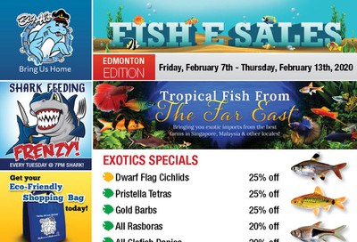 Big Al's (Edmonton) Weekly Specials February 7 to 13