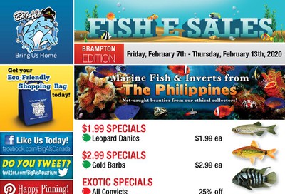 Big Al's (Brampton) Weekly Specials February 7 to 13