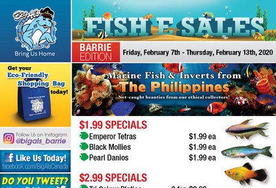 Big Al's (Barrie) Weekly Specials February 7 to 13