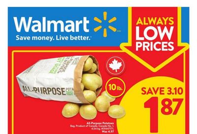 Walmart (ON) Flyer February 25 to March 3
