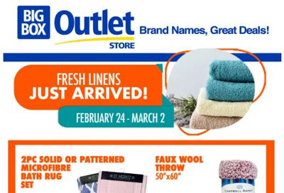Big Box Outlet Store Flyer February 24 to March 2